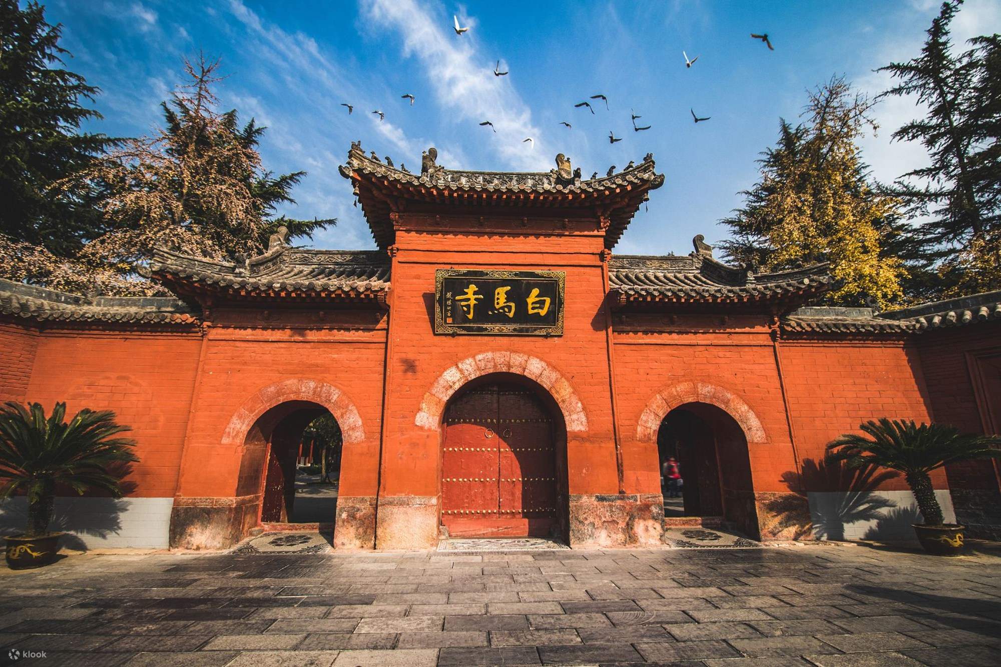 中国　釈源祖庭　白馬寺　駿馬図 中国 釈源祖庭 白馬寺 駿馬図